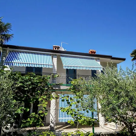 Nino Savudrija * Bašanija